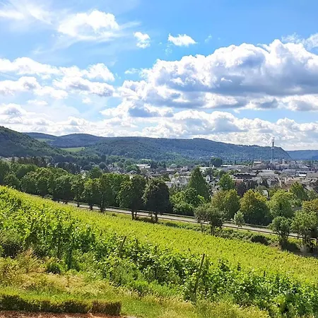 Schloss Arenfels 3*